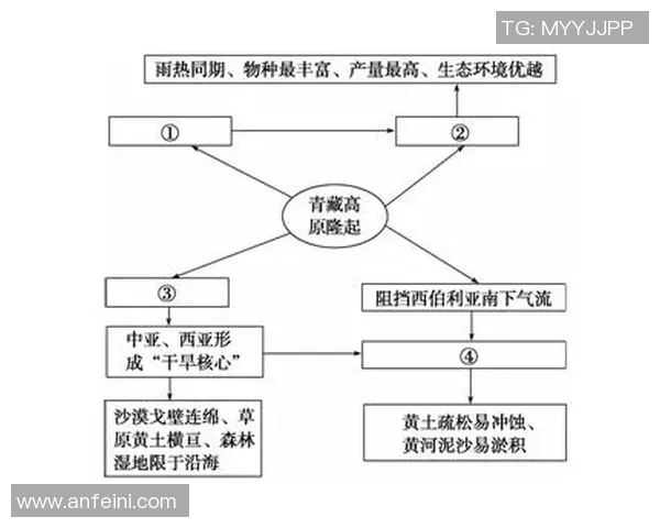 杭州极限运动队区域防守分析及其对比赛成绩的影响探讨