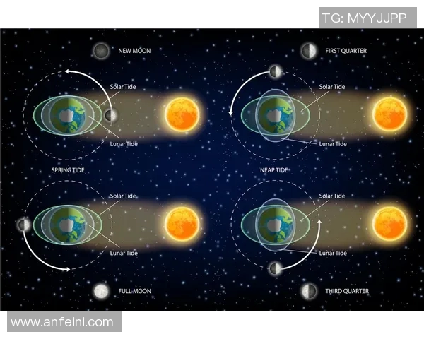 以太阳为中心探讨太阳系行星的运动规律与演化过程